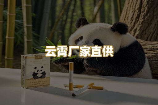 云霄厂家直供